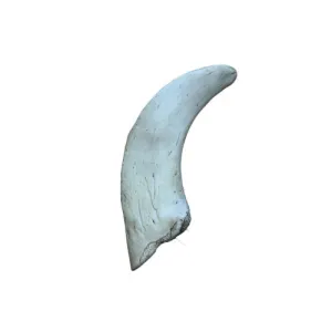 Anco Naturals | Dog Chew Treat | Fat Free Lamb Horn Marrow