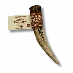 Antler Dog Chew