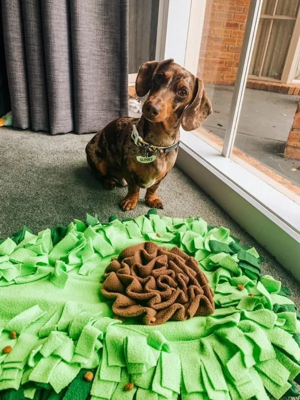 Avocado Snuffle Mat