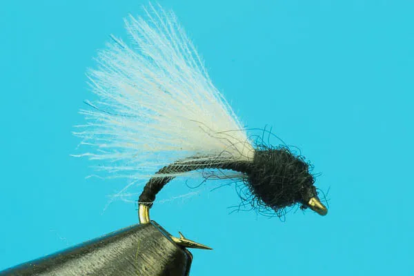 CDC Emerger Trico