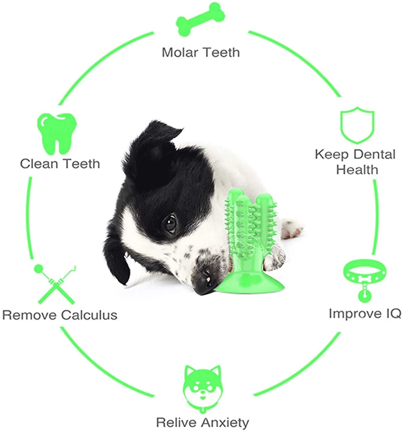 Dog Chew Toothbrush Teeth Cleaning Toys Puppy Oral Care Molar Stick for Pet Gift for Small/Medium/Large Dogs Bite Resistant