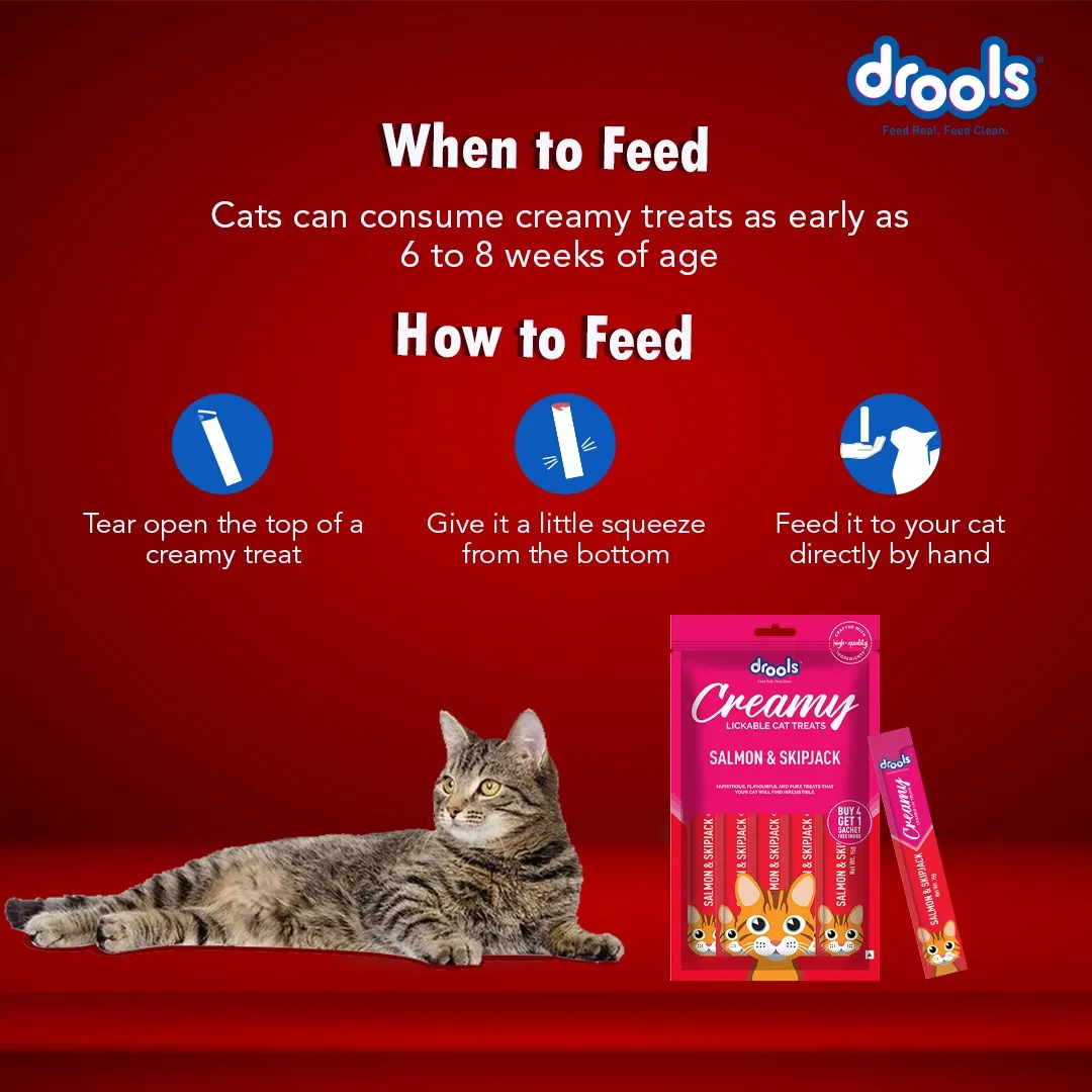 Drools Real Chicken and Salmon & Skipjack Creamy Cat Treats Combo