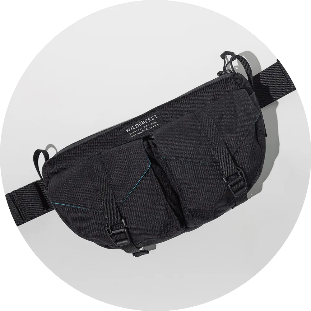 Farallon Field Day Belt Bag