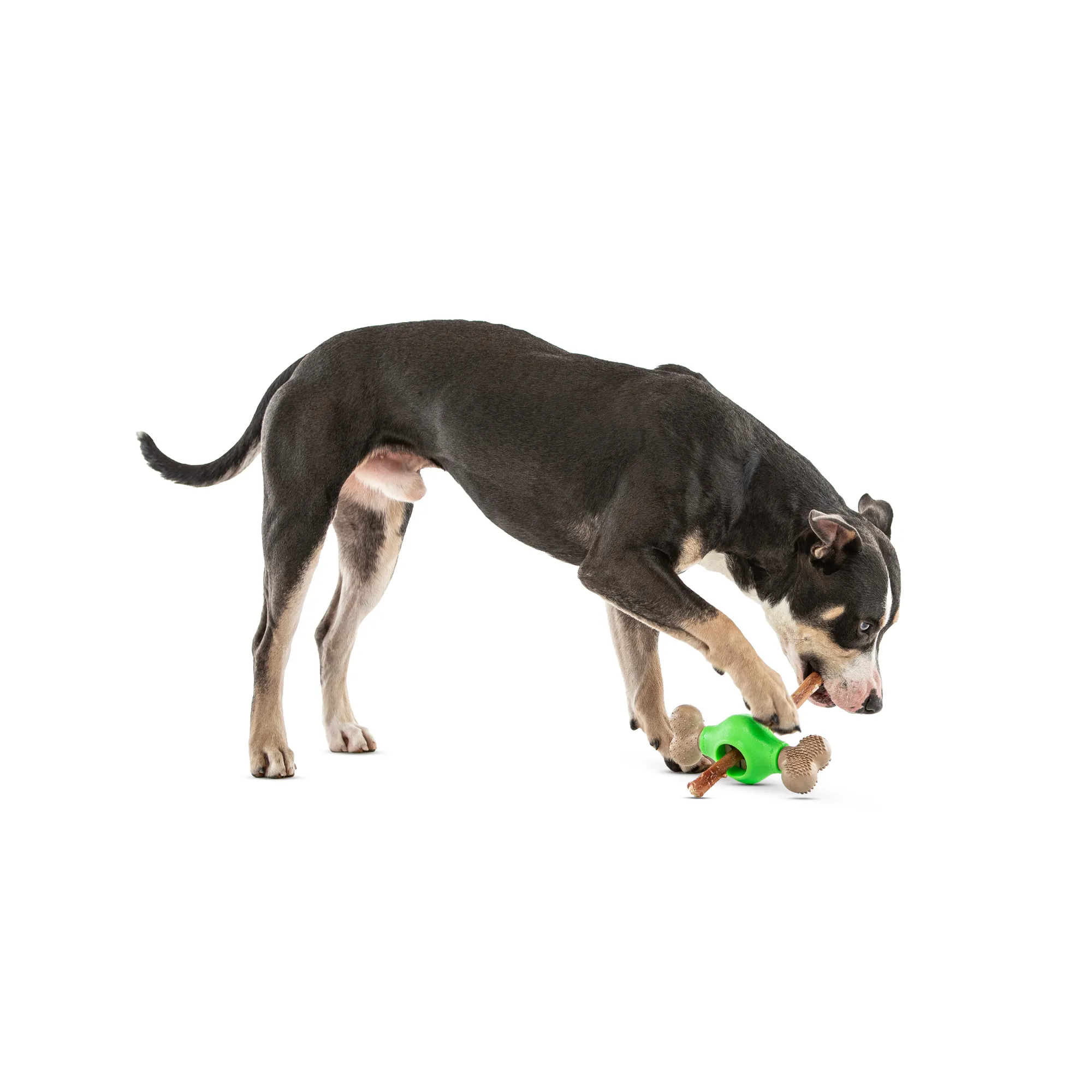 GURU Adjust-A-Chew Dog Toy Medium