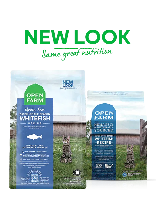 Open Farm for Cats - Catch of the Season Whitefish Dry Food