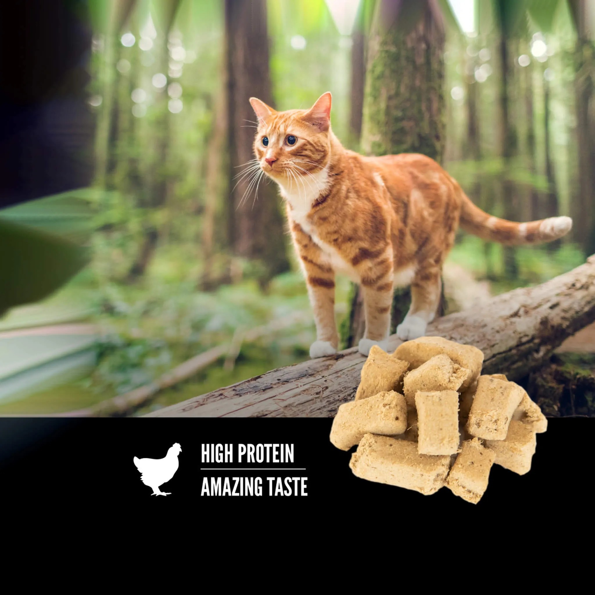 Orijen Freeze Dried Cat Treats