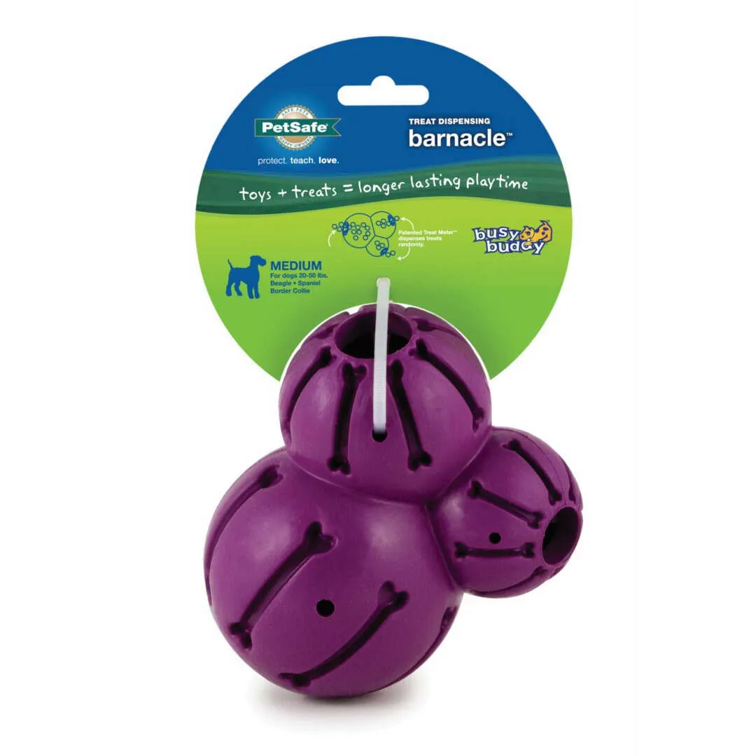 PetSafe Busy Buddy Barnacle