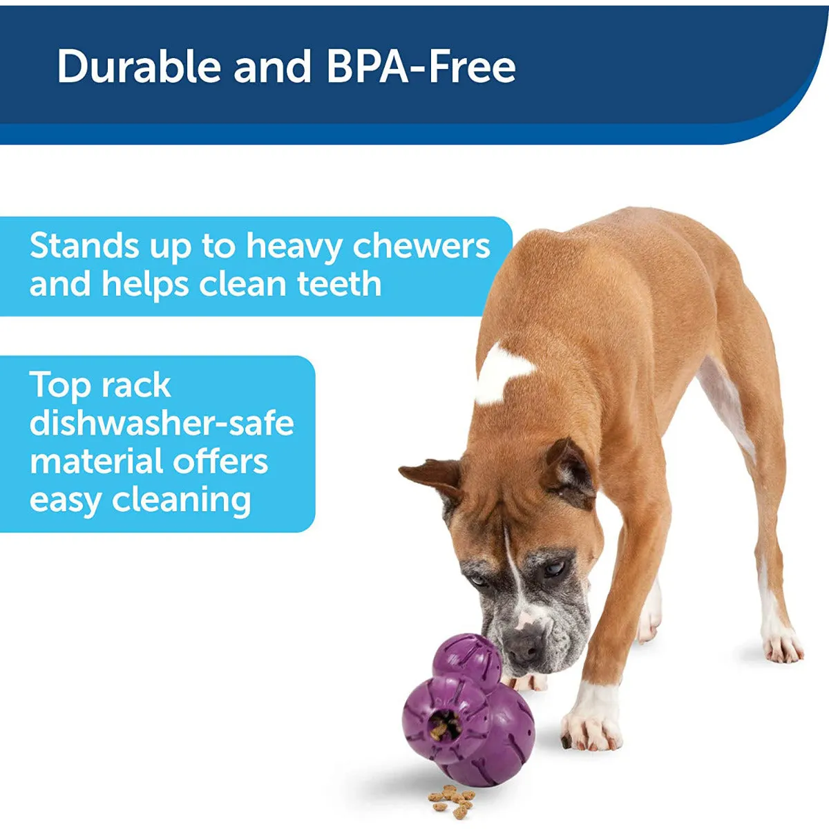 PetSafe Busy Buddy Barnacle