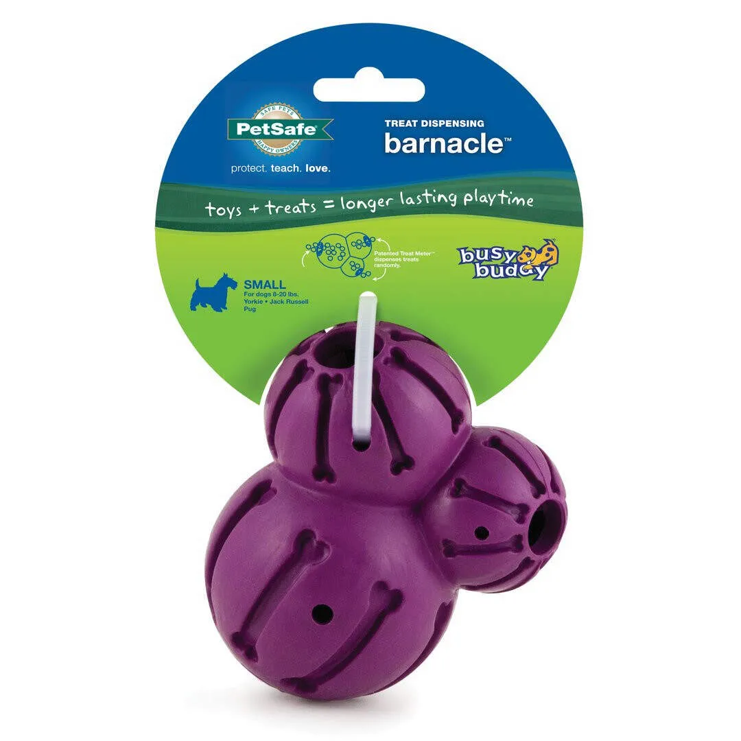 PetSafe Busy Buddy Barnacle