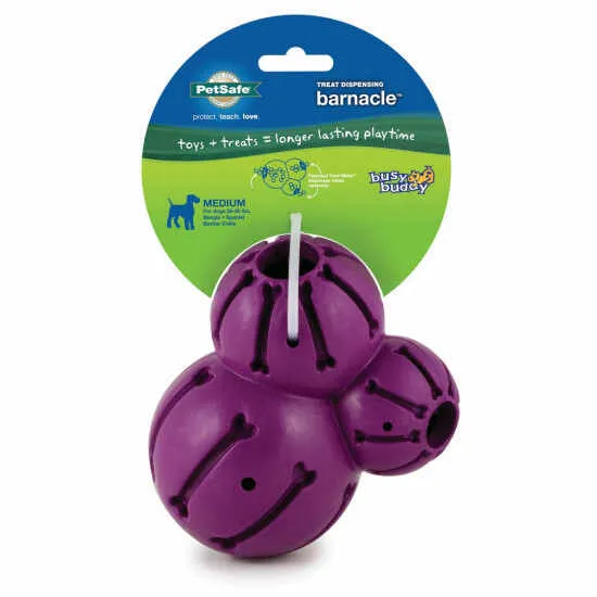 PetSafe Busy Buddy Barnacle