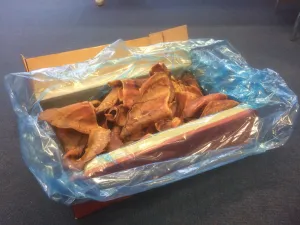 Pigs Ears in Box 50 Pack