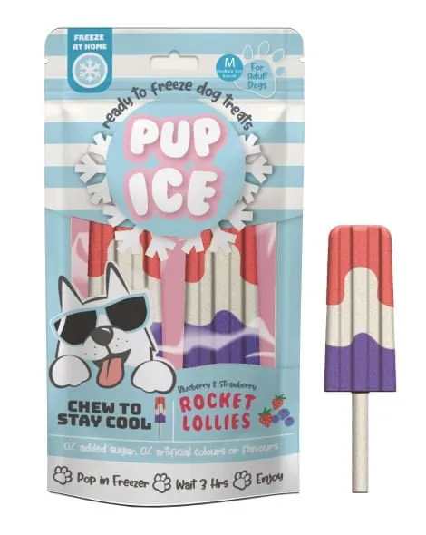 Pup Ice Rocket Lollies, 2pk