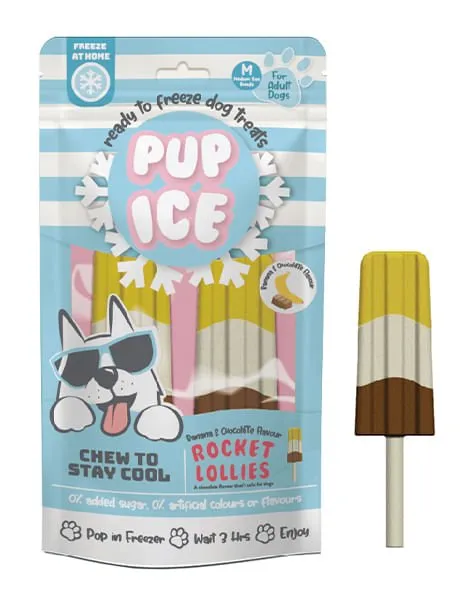 Pup Ice Rocket Lollies, 2pk