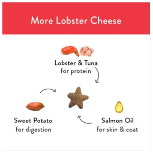 Shameless Pets Crunchy More Lobster, Cheese Cat Treats, 2.5oz