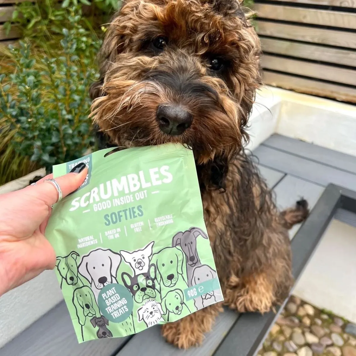 Softies: Vegetarian Dog Treats