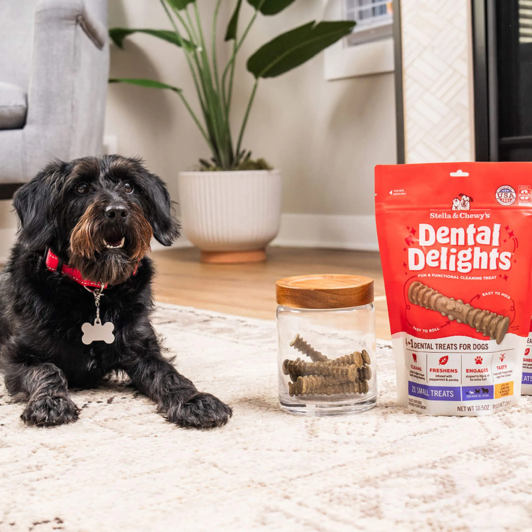 Stella & Chewy's Dental Delights for Dogs