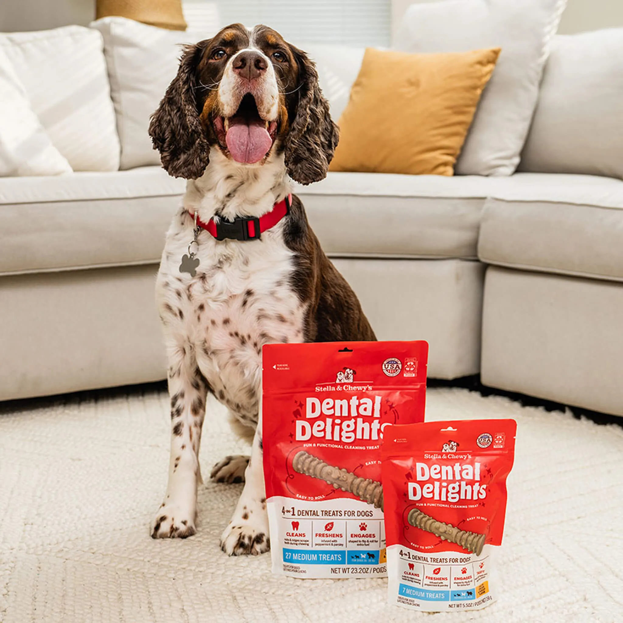 Stella & Chewy's Dental Delights for Dogs