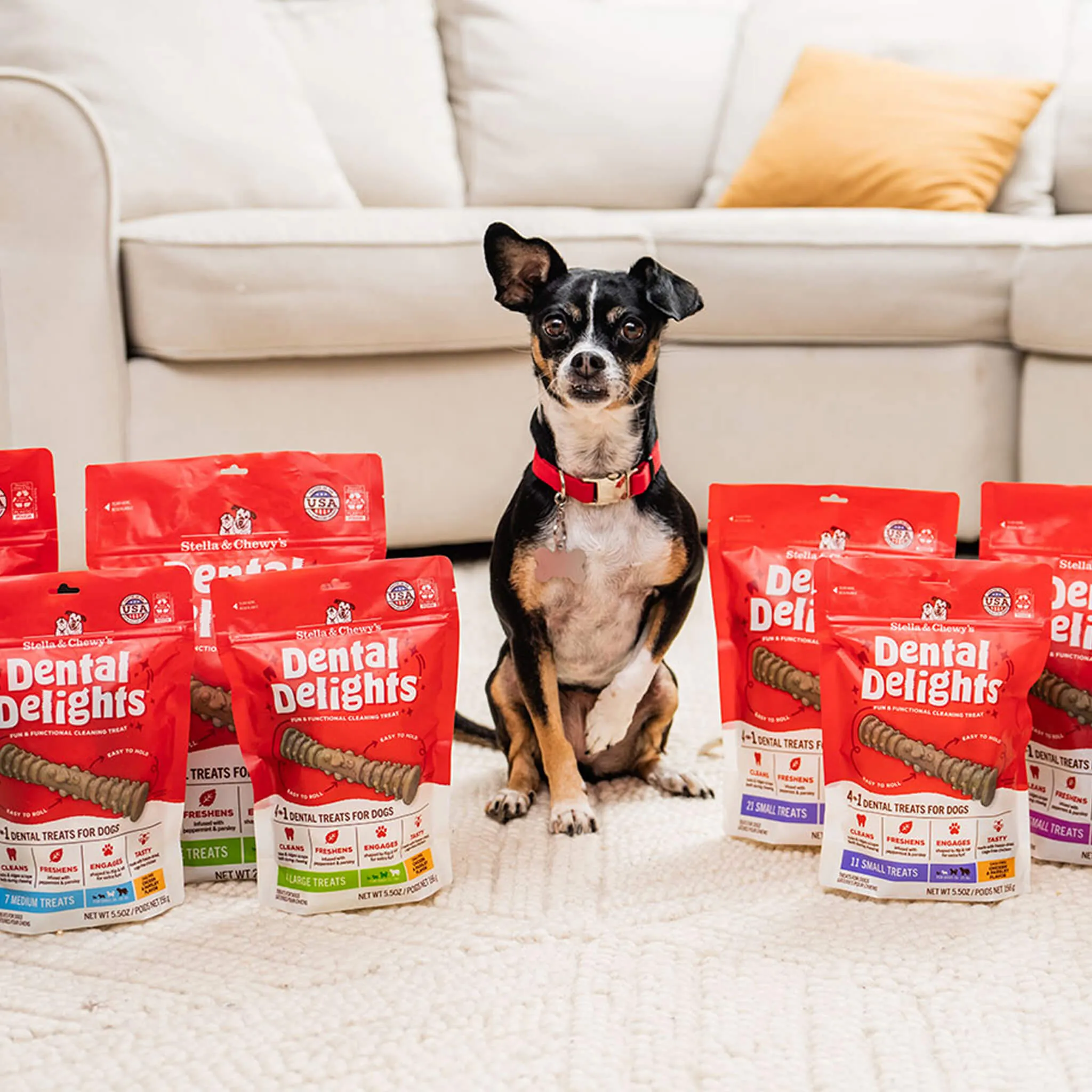 Stella & Chewy's Dental Delights for Dogs