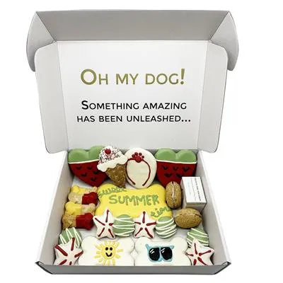 Summer Themed Dog Treats Gift Box