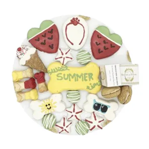 Summer Themed Dog Treats Gift Box