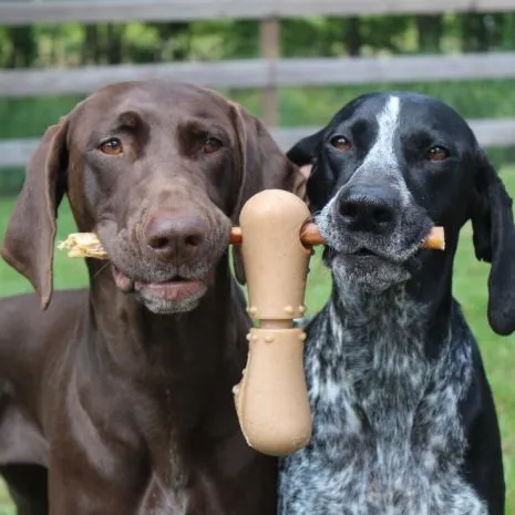 Tall Tails Treat Bone Chew Dog Toy